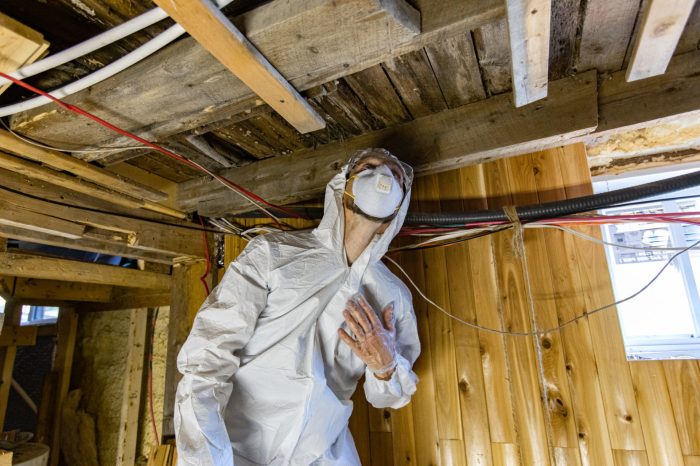 Crawl space repair companies