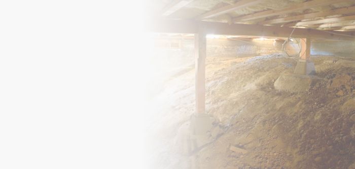 Crawl space repair companies