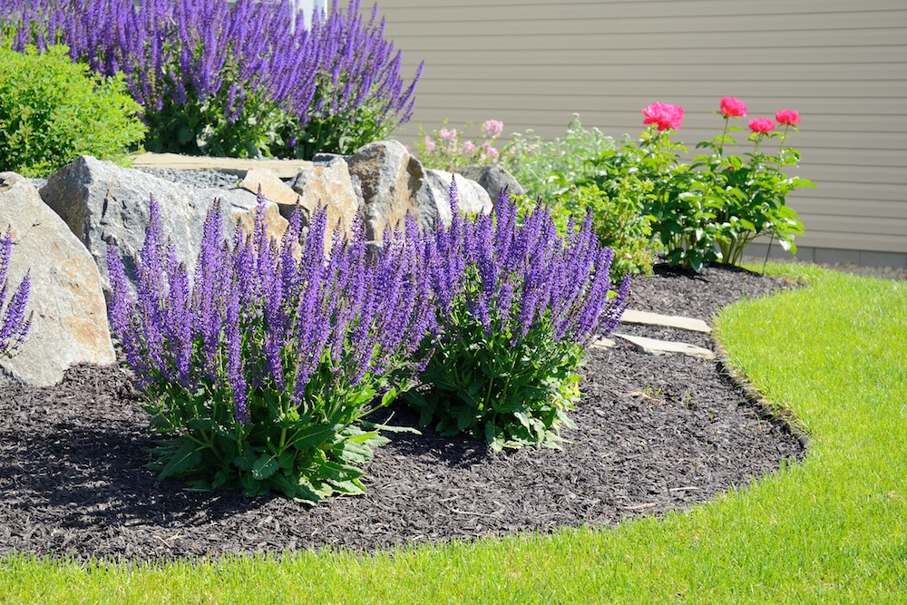 Landscaping Patio landscaping companies near me